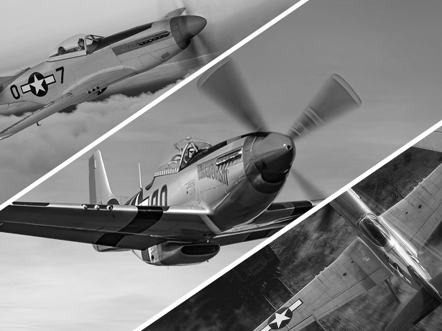 VOLANTEXRC P51D Mustang 4Ch Aviones RC para principiantes con estabilizador Xpilot One-key Aerobatic (761-5) RTF