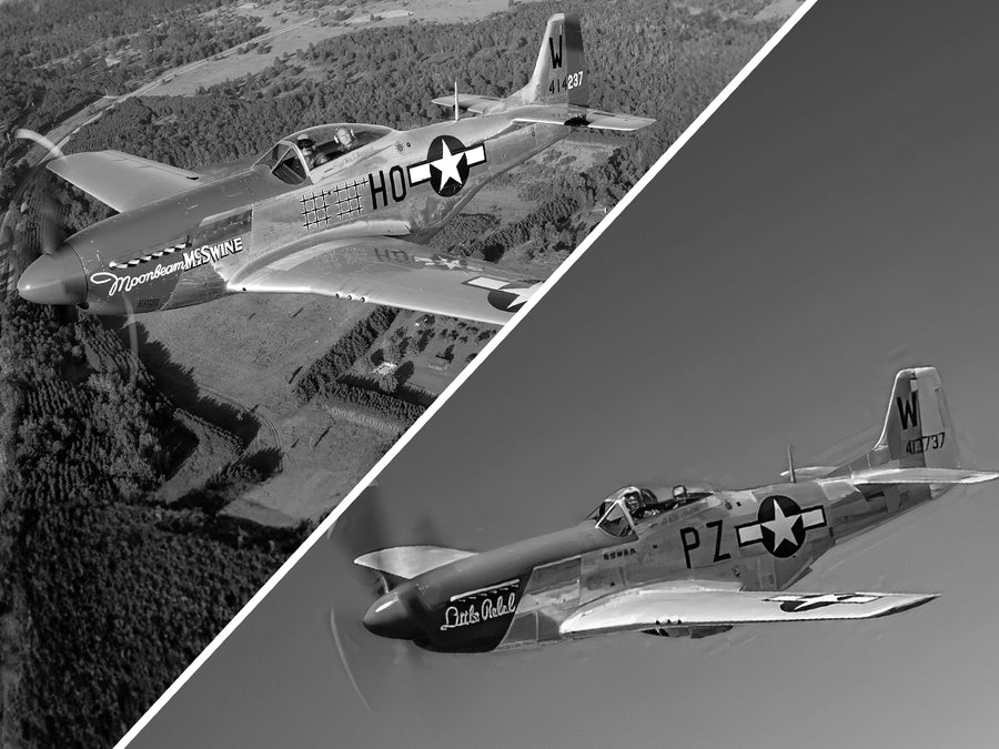 VOLANTEXRC P51D Mustang 2 Channels RC Beginner Airplane with Gyro Stabilizer Easy Fly