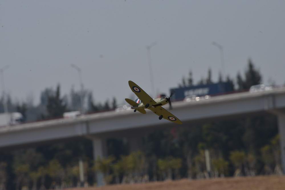 Take to the Skies with the Volantexrc P40 RC Plane