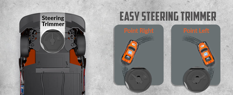 RACENT 1:16 RC Drift Car 4WD 18KM/H, 2 Batteries, Sport Model Toys Vehicle for Kids, Boys, Adults