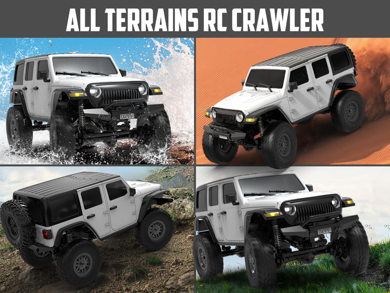 RCS24 Off Road 1/24 Rock Crawlers with LED 4WD