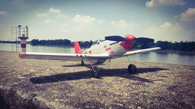 VolantexRC rc warbird P51 from EXHOBBY