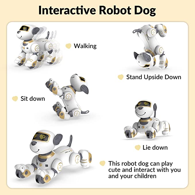 Robot programmable