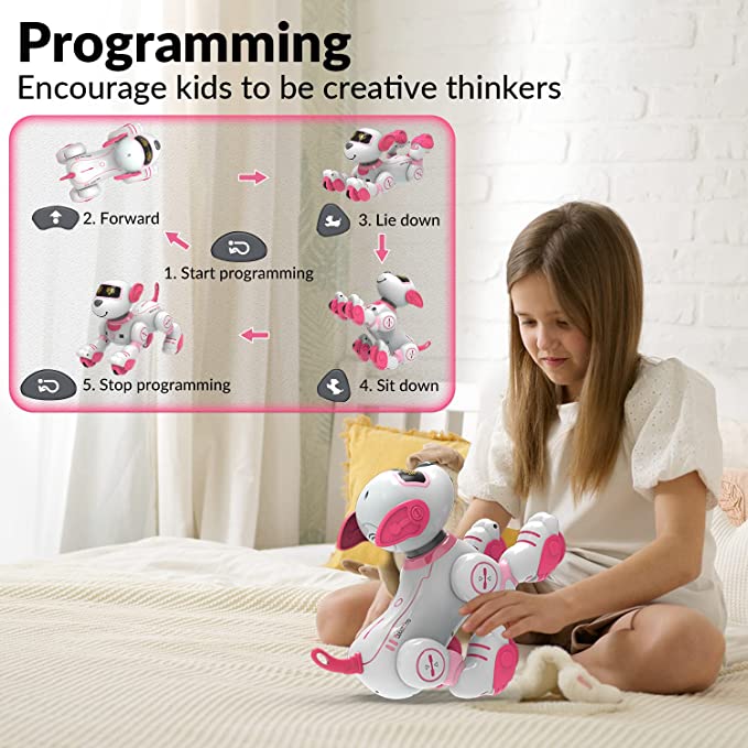 Remote Control Robot Dog Toy, Programmable Smart Interactive